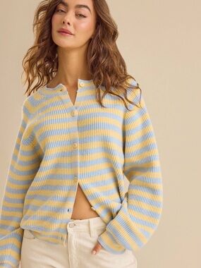 Altar'd State Pastel Blue and Yellow Striped Button Cardigan